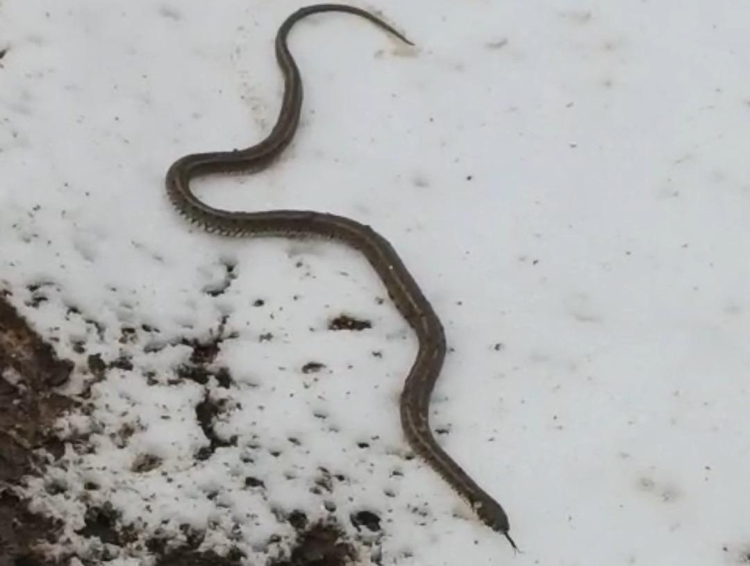 Cami için kazdılar, topraktan çıkana şaşıp kaldılar! 1