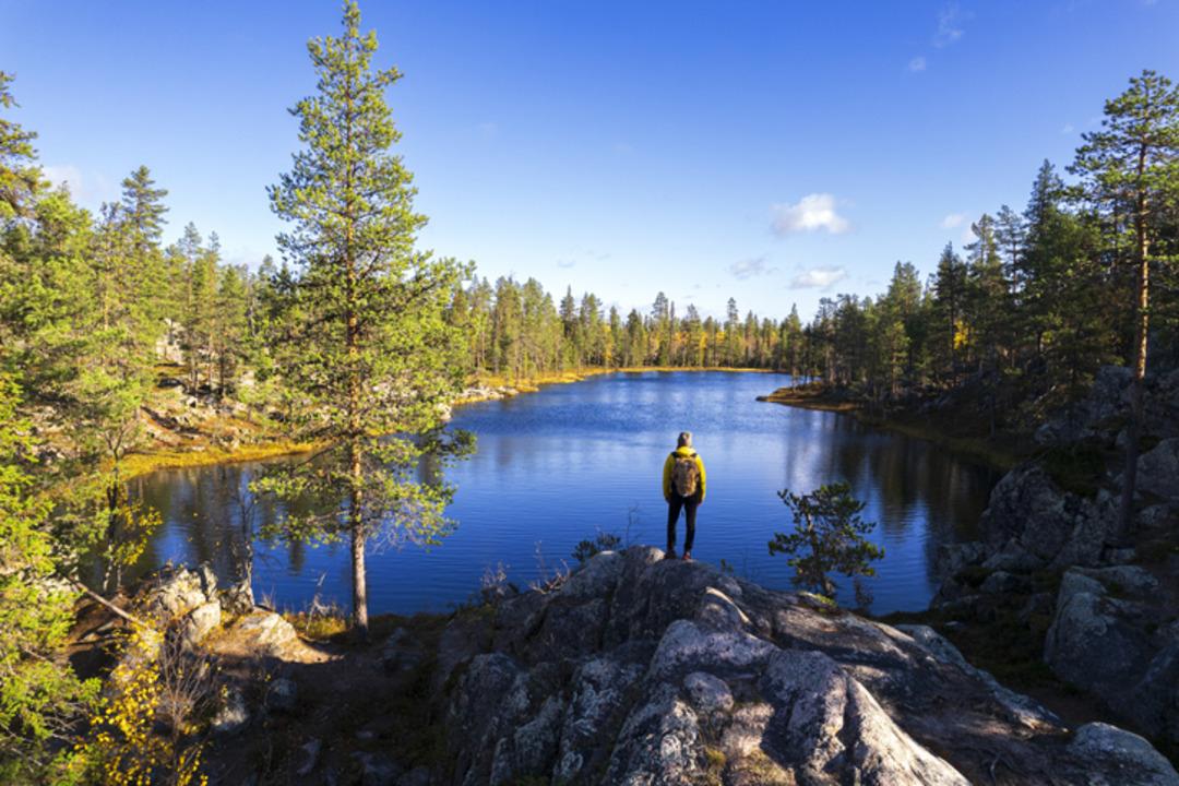 Dünyanın en mutlu ülkesi seçilmişti: Mutluluğun sırrını 1 hafta ücretsiz öğretecekler! 3