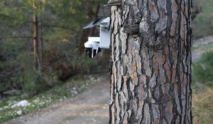 Altın değerinde: G&uuml;venlik kameralı &ouml;nlem! Kilosu 3 bin TL