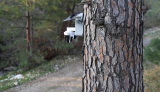 Altın değerinde: G&uuml;venlik kameralı &ouml;nlem! Kilosu 3 bin TL