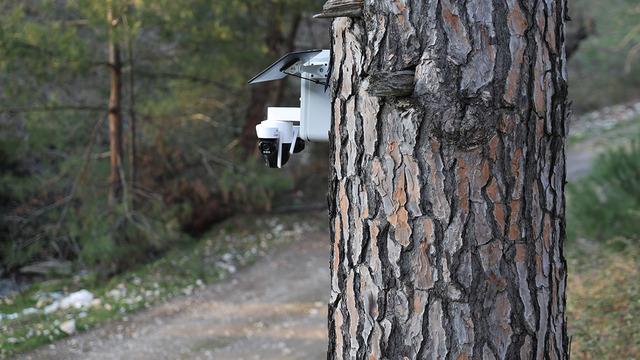 Altın değerinde: Güvenlik kameralı önlem! Kilosu 3 bin TL