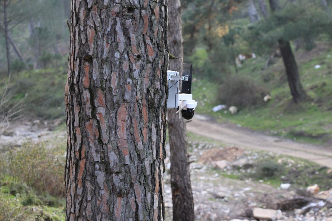 Altın değerinde: Güvenlik kameralı önlem! Kilosu 3 bin TL 1