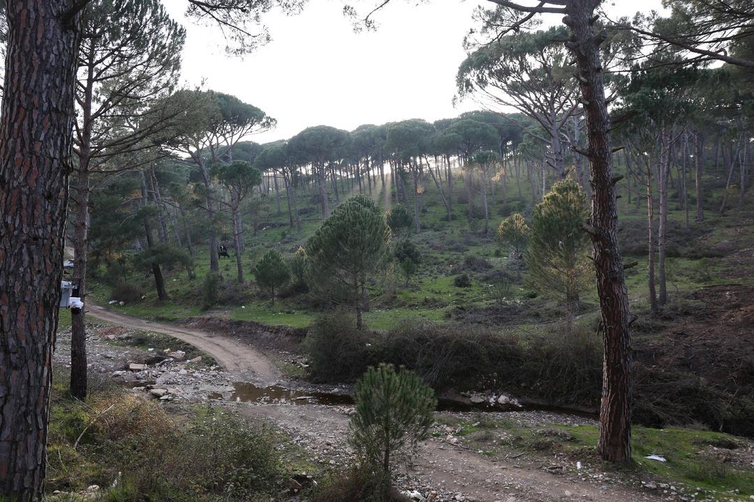 Altın değerinde: Güvenlik kameralı önlem! Kilosu 3 bin TL 2
