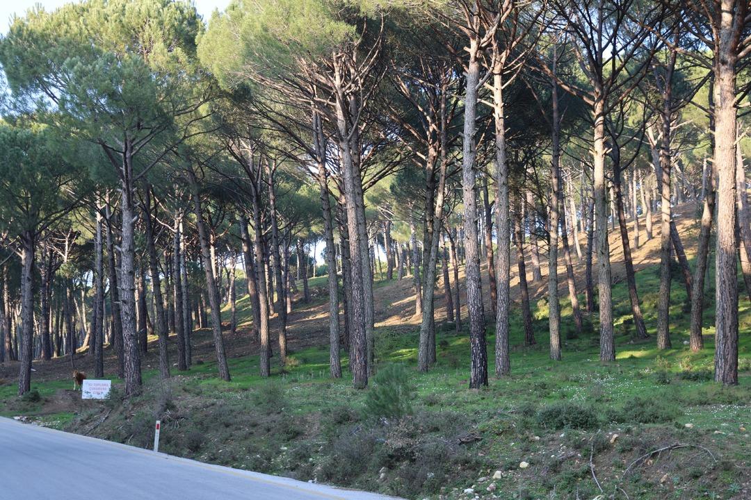 Altın değerinde: Güvenlik kameralı önlem! Kilosu 3 bin TL 4