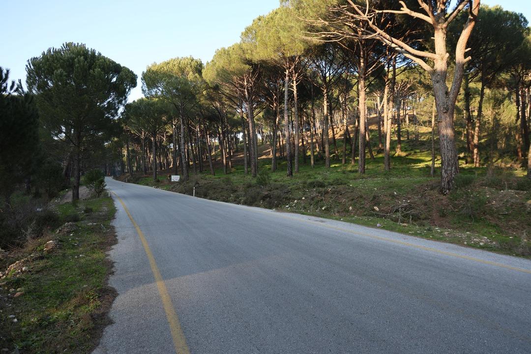 Altın değerinde: Güvenlik kameralı önlem! Kilosu 3 bin TL 5