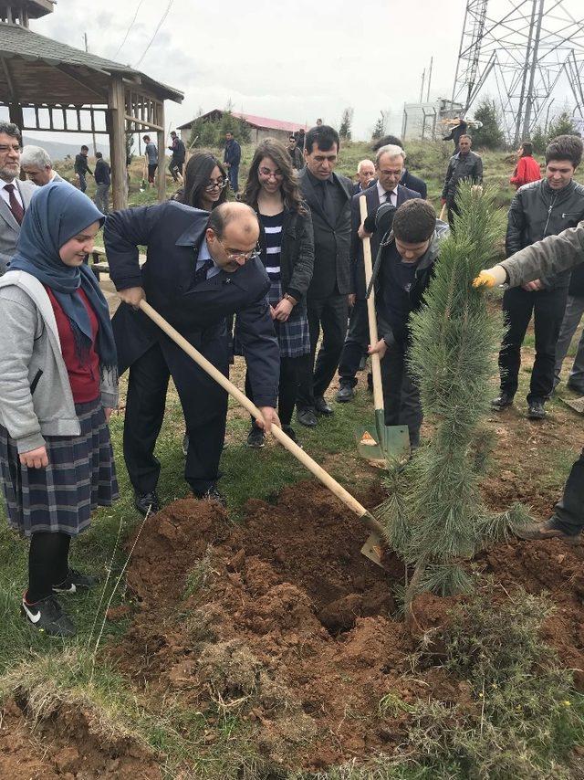 Bitlis’te fidan dikimi