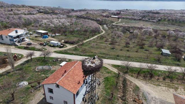 Sadık misafir leylek, 10 yıldır aynı köye gidiyor 5