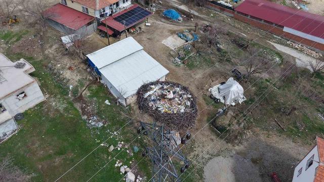 Sadık misafir leylek, 10 yıldır aynı köye gidiyor 3