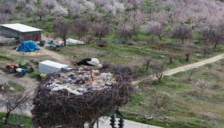 Sadık misafir leylek, 10 yıldır aynı k&ouml;ye gidiyor