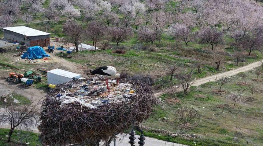 Sadık misafir leylek, 10 yıldır aynı k&ouml;ye gidiyor