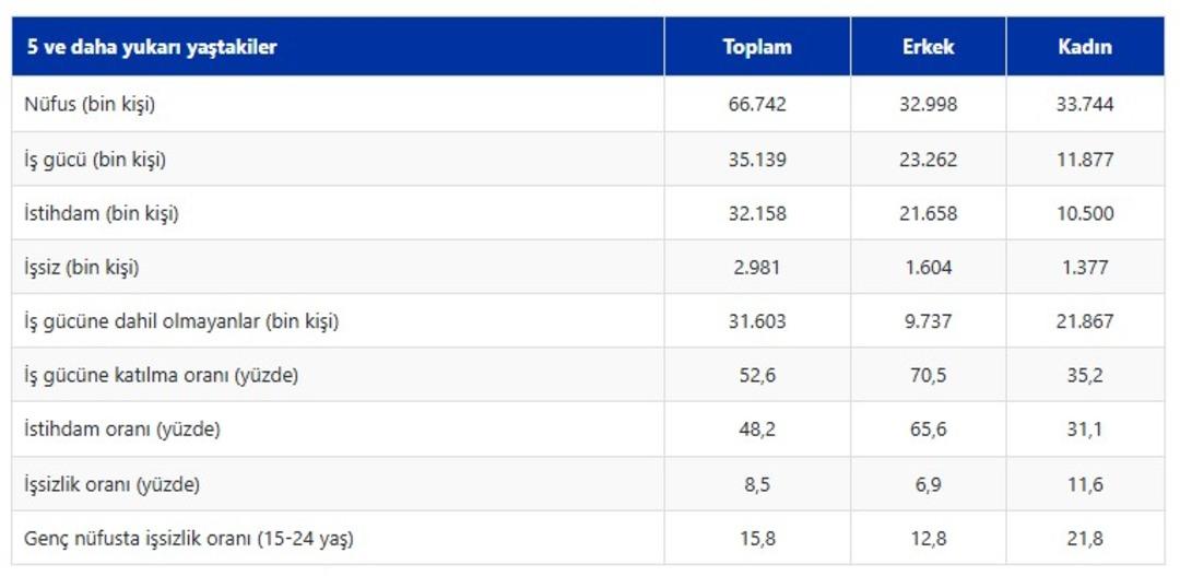 T&Uuml;İK duyurdu: İşsizlik rakamları belli oldu 3