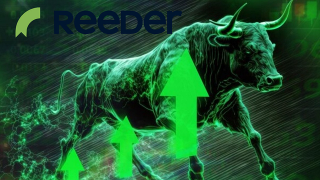 Reeder Teknoloji (REEDR) neden tavan oldu?