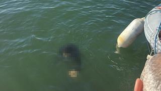 İzmir'de acı haber! Akülü tekerlekli sandalyesiyle denize düşen vatandaş hayatını kaybetti