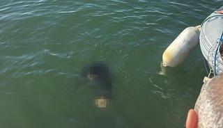 İzmir'de acı haber! Ak&uuml;l&uuml; tekerlekli sandalyesiyle denize d&uuml;şen vatandaş hayatını kaybetti