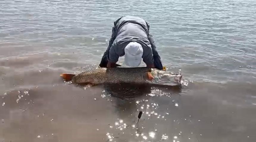 Elazığ&rsquo;da amat&ouml;r balık&ccedil;ılar 65 kilo ağırlığında turna balığı yakaladı