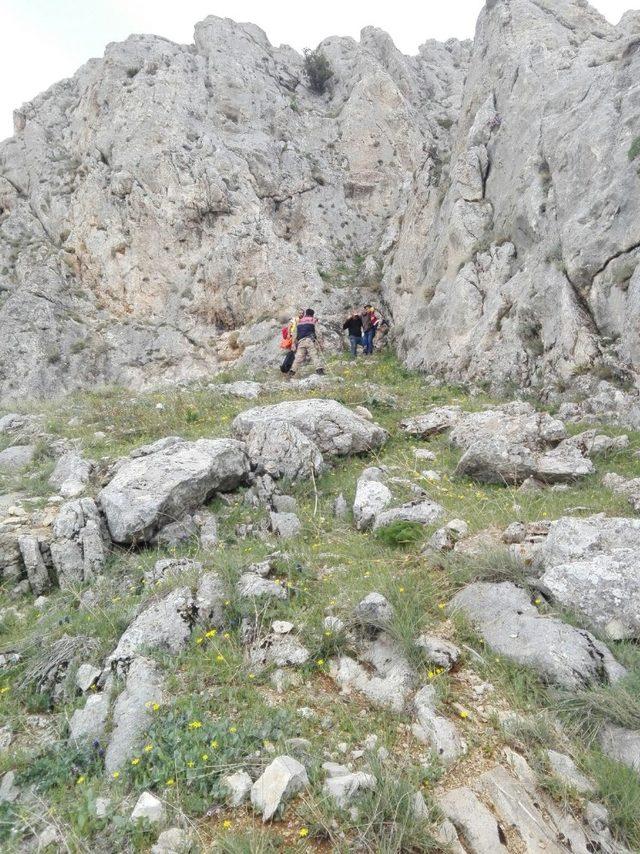 Kayalıktan düşen vatandaş için seferber oldular