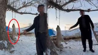 Sosyal medyada tepkiler büyüyor: Çok yiyor dedi, köpeğini ağaca asıp öldürdü! 