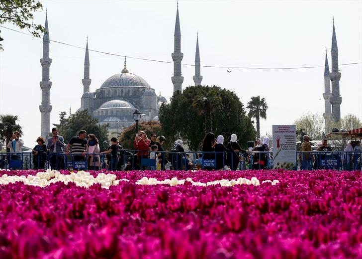 Dünyanın en büyük canlı lale halısı görücüye çıktı G3