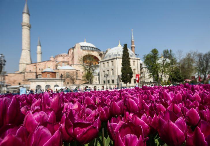 Dünyanın en büyük canlı lale halısı görücüye çıktı G4