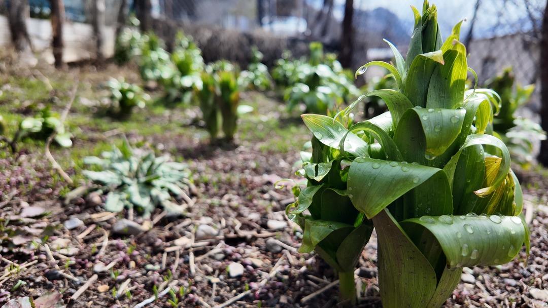 20 g&uuml;n yaşıyor, koparan yandı! Cezası 700 bin TL 2