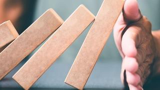 Karbon yutaklarından yenilenebilir enerjiye iklim mücadelesi