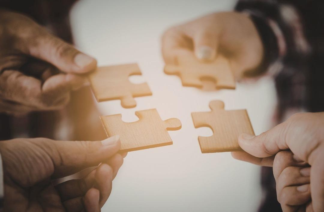 Karbon yutaklarından yenilenebilir enerjiye iklim mücadelesi 3