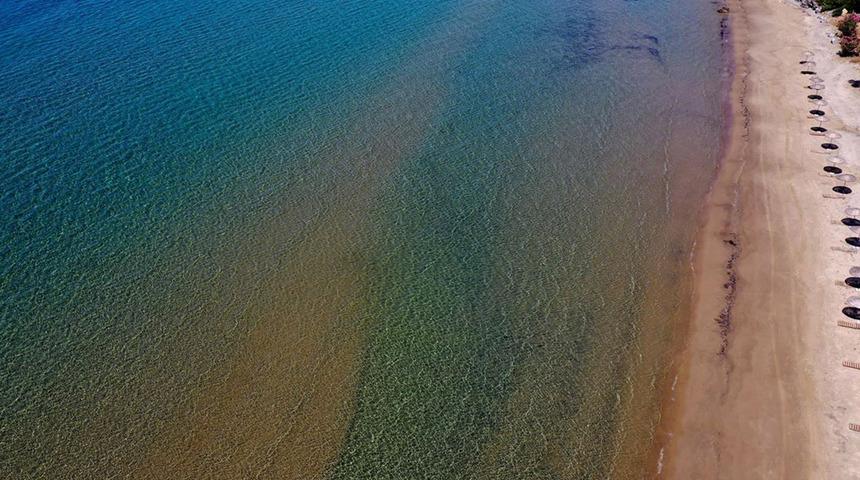 Sayı her ge&ccedil;en g&uuml;n artıyor: Cesetleri sahile vurdu! Kuşadası'nda sayı 8'e y&uuml;kseldi