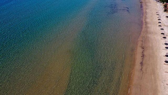 Sayı her geçen gün artıyor: Cesetleri sahile vurdu! Kuşadası'nda sayı 8'e yükseldi