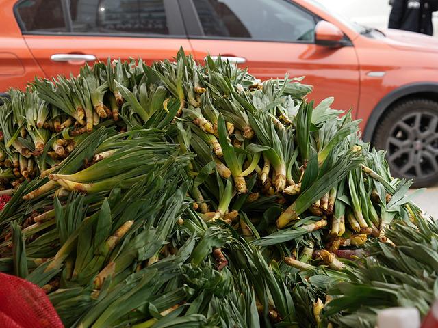 Dere kenarlarında kendiliğinden yetişiyor! Doğal antibiyotik kapış kapış gidiyor: Kilosu 200 lira