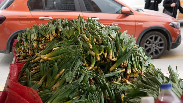 Dere kenarlarında kendiliğinden yetişiyor! Doğal antibiyotik kapış kapış gidiyor: Kilosu 200 lira