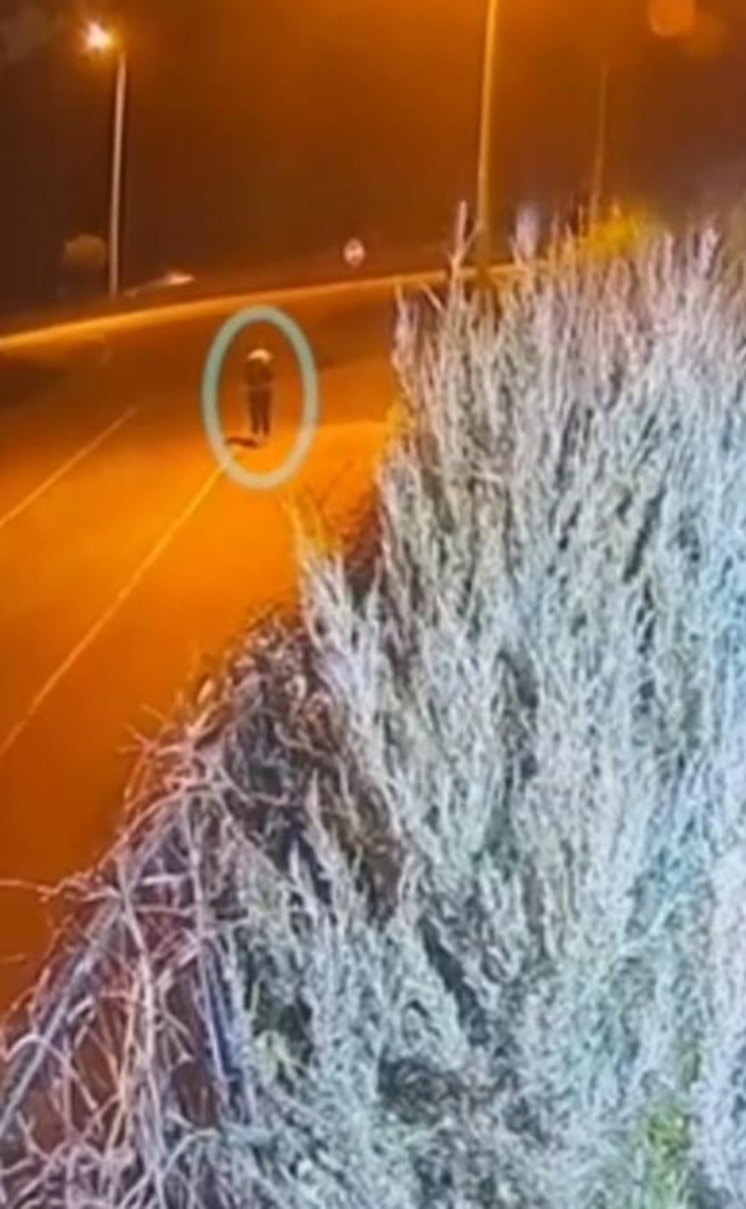 Taciz davasının mağduru Tuana kazada hayatını kaybetmişti! O anların g&ouml;r&uuml;nt&uuml;leri ortaya &ccedil;ıktı 9