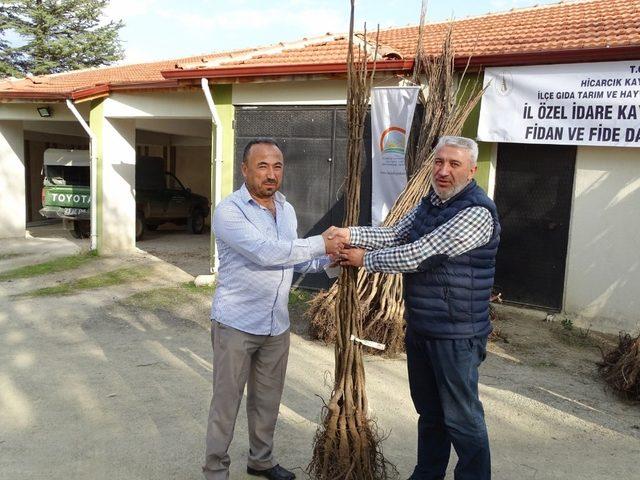 Hisarcıklı çiftçilere 560 ceviz fidanı dağıtıldı