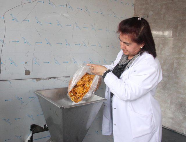 Özbek girişimci, çocuklar için meyve cipsi üretiyor