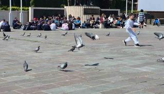 Dikkat dağıtan ortama rağmen dikkat &ccedil;ekmeyi başardılar