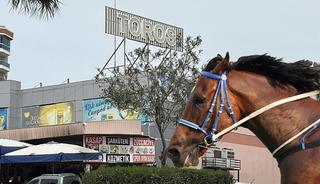 Aşevinde at eti skandalı! Olayda yeni gelişme