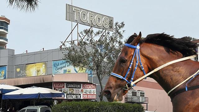 Mersin'de aşevinde at eti skandalı! Olayda yeni gelişme: Et satışı durduruldu