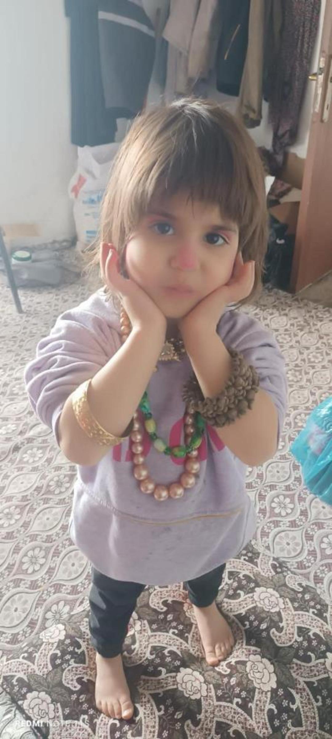 Hizan&rsquo;da kayıp kız &ccedil;ocuğu i&ccedil;in arama &ccedil;alışması başlatıldı 1