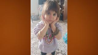 Hizan’da kayıp kız çocuğu için arama çalışması başlatıldı