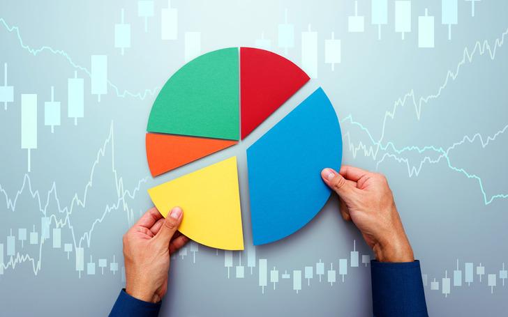 Şimdi biraz zorlayalım, Portfolio Diversification ne demek?