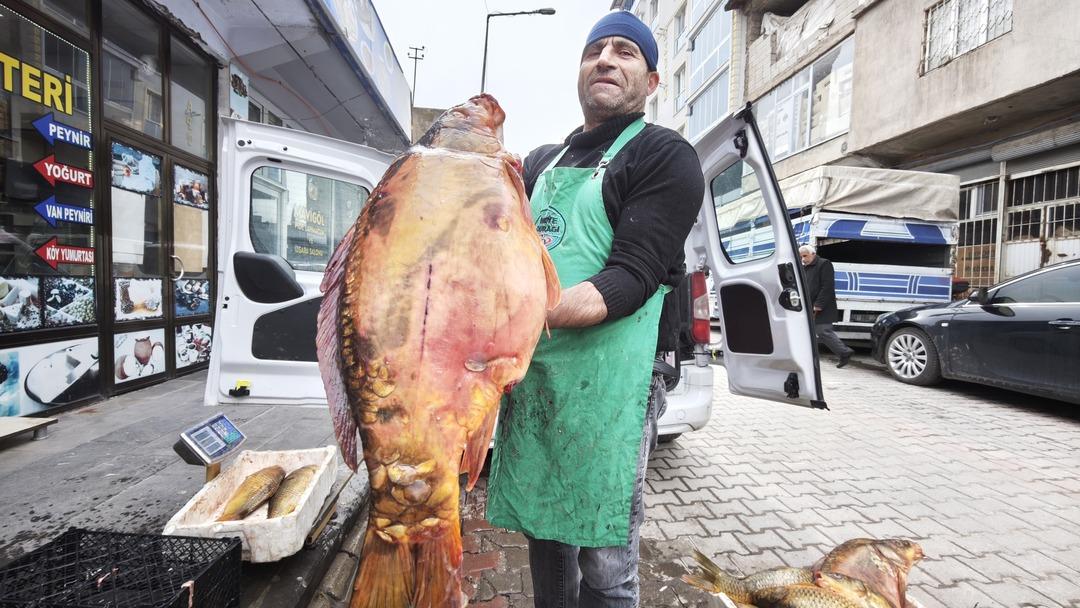 Dev boyutuyla ilgi odağı oldu! Kilosu 200 lira: Omega 3 bombası 1