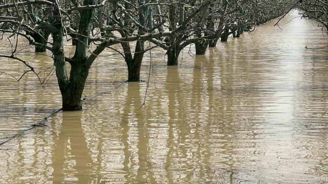 Bursa&rsquo;da y&uuml;zlerce d&ouml;n&uuml;m şeftali ve armut bah&ccedil;esi su altında 5