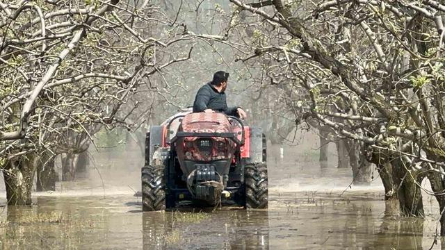 Bursa&rsquo;da y&uuml;zlerce d&ouml;n&uuml;m şeftali ve armut bah&ccedil;esi su altında 3