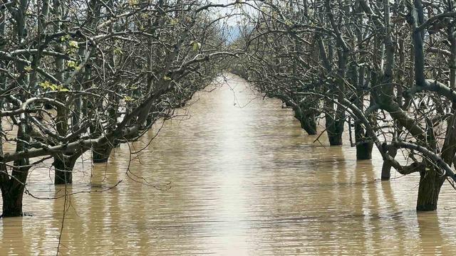 Bursa&rsquo;da y&uuml;zlerce d&ouml;n&uuml;m şeftali ve armut bah&ccedil;esi su altında 2