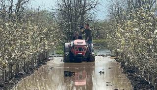 Bursa&rsquo;da y&uuml;zlerce d&ouml;n&uuml;m şeftali ve armut bah&ccedil;esi su altında