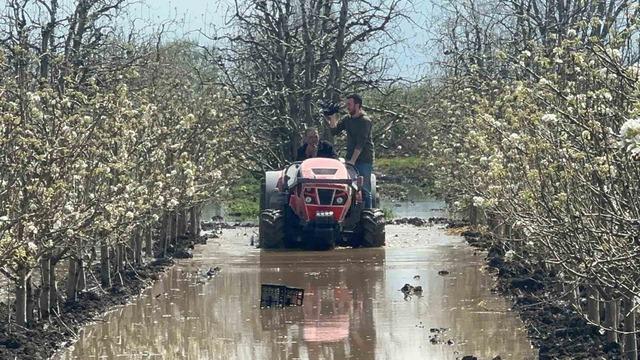 Bursa’da yüzlerce dönüm şeftali ve armut bahçesi su altında