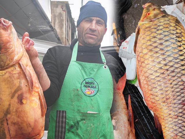 Dev boyutuyla ilgi odağı oldu! Kilosu 200 lira: Omega 3 bombası