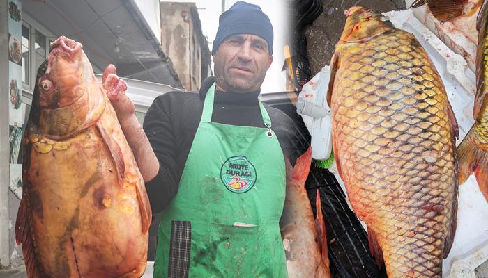 Dev boyutuyla ilgi odağı oldu! Kilosu 200 lira: Omega 3 bombası