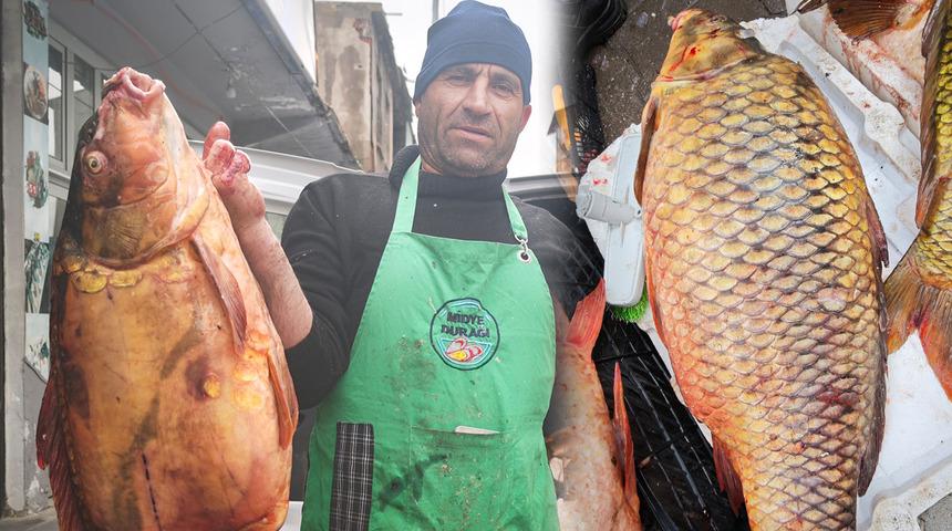 Dev boyutuyla ilgi odağı oldu! Kilosu 200 lira: Omega 3 bombası