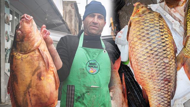 Dev boyutuyla ilgi odağı oldu! Kilosu 200 lira: Omega 3 bombası