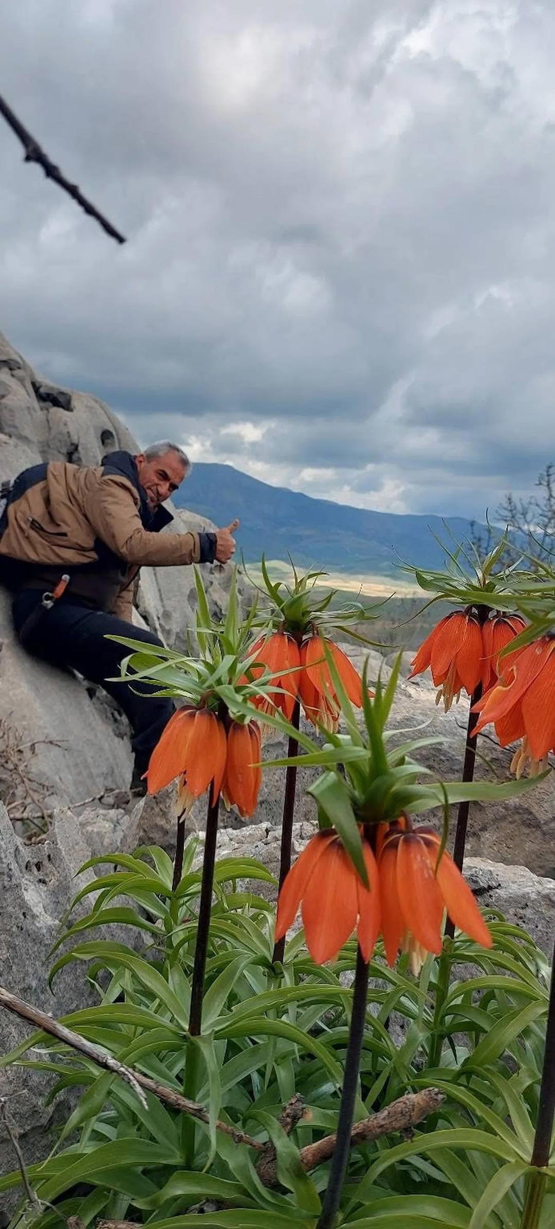 Koparana 700 bin lira ceza kesilecek! Bu &ccedil;i&ccedil;ek yılda sadece 20 g&uuml;n yaşayabiliyor 2